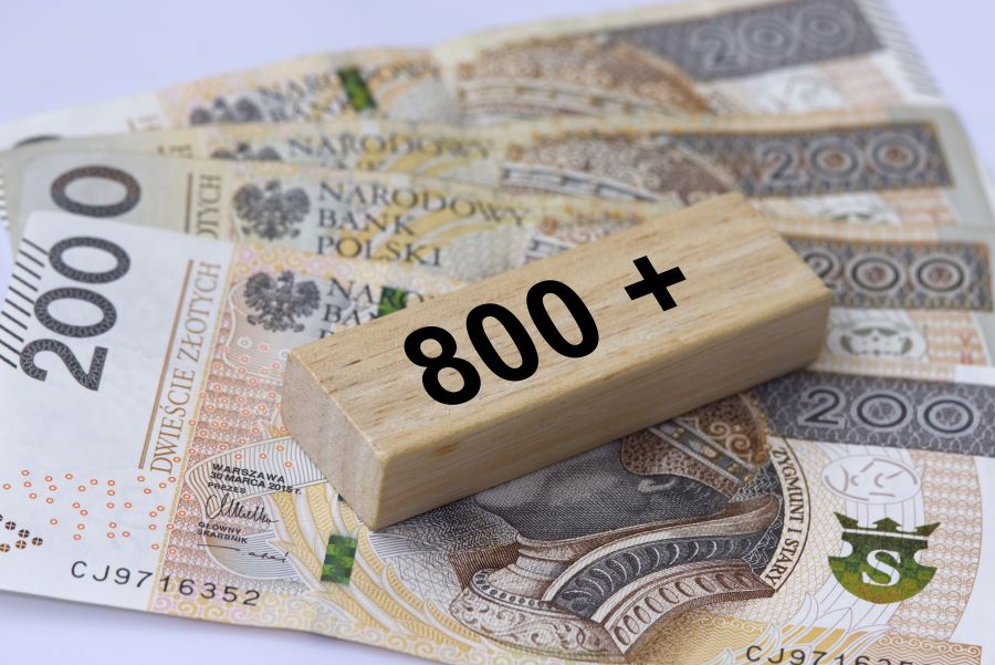Помощь 800+