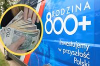 Программа на детей «Семья 800+» в Польше: новые условия получения помощи для граждан Украины