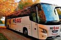 Осенне-зимние путешествия Польшей от 1 злотого: распродажа билетов от Neobus