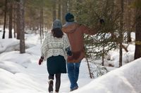 Елка на праздники: какие штрафы угрожают за незаконную вырубку в Польше Елка на праздники: какие штрафы угрожают за незаконную вырубку в Польше