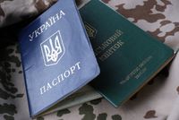  Закон о мобилизации: украинцы за границей должны обновить персональные данные